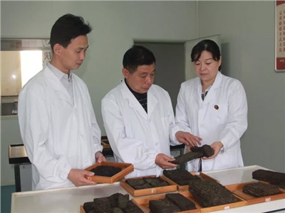 傳承茯茶非遺技藝、開拓創(chuàng)新引領行業(yè)發(fā)展